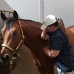 The Dapper Equine Massage & Clipping