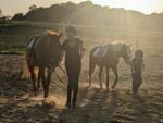 Beginner Lessons at Edelweiss Farms