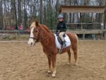 Beginner Lessons at Edelweiss Farms