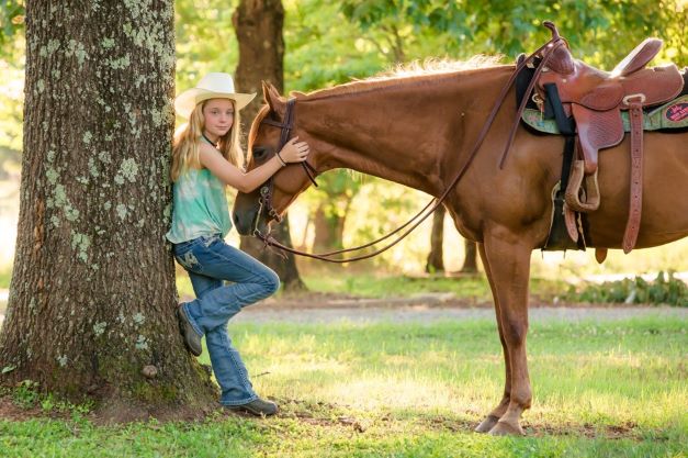 horse and rider portraits