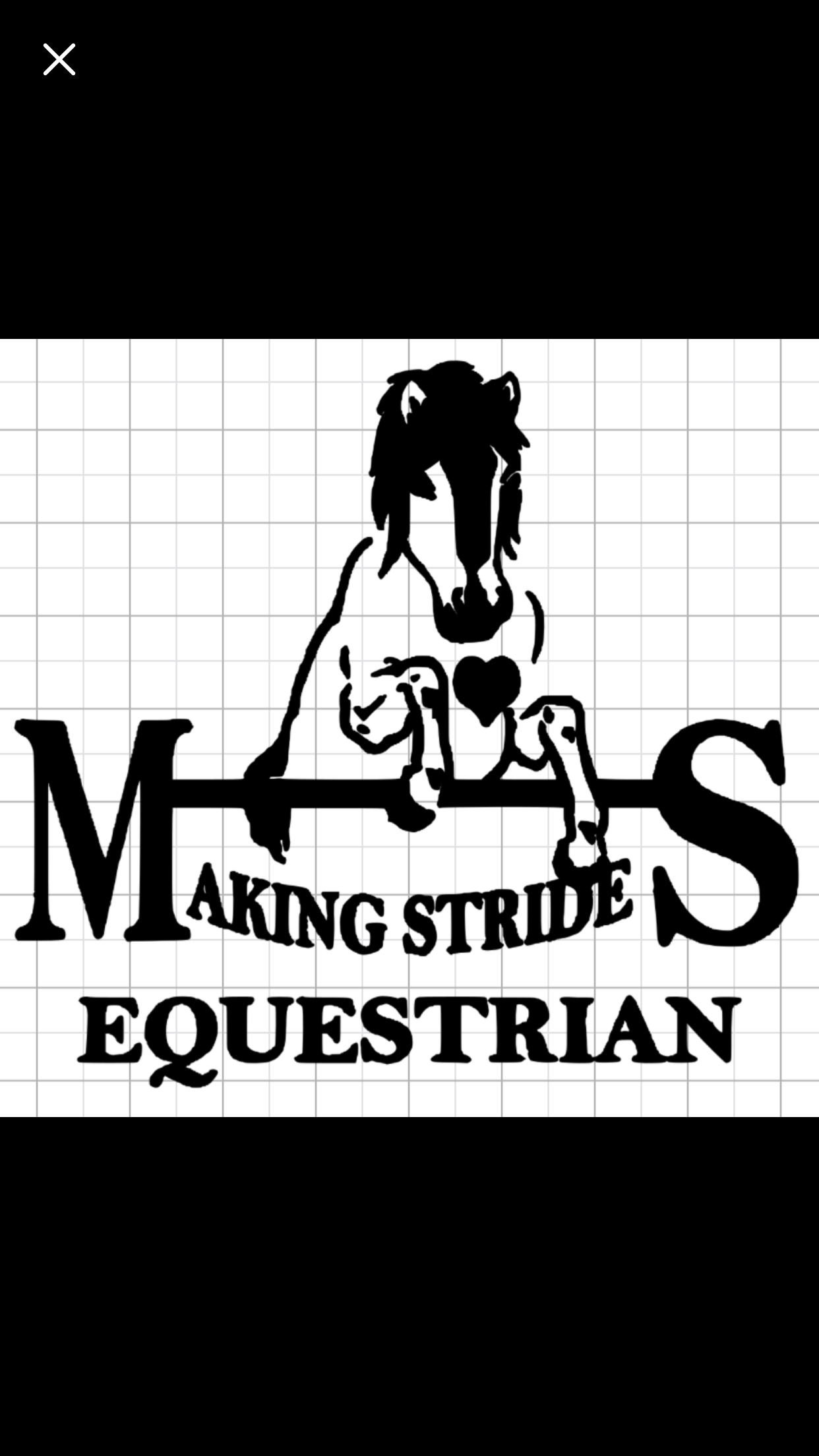 Making Strides Equestrian