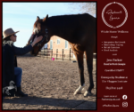 Resilient Equine – Bodywork